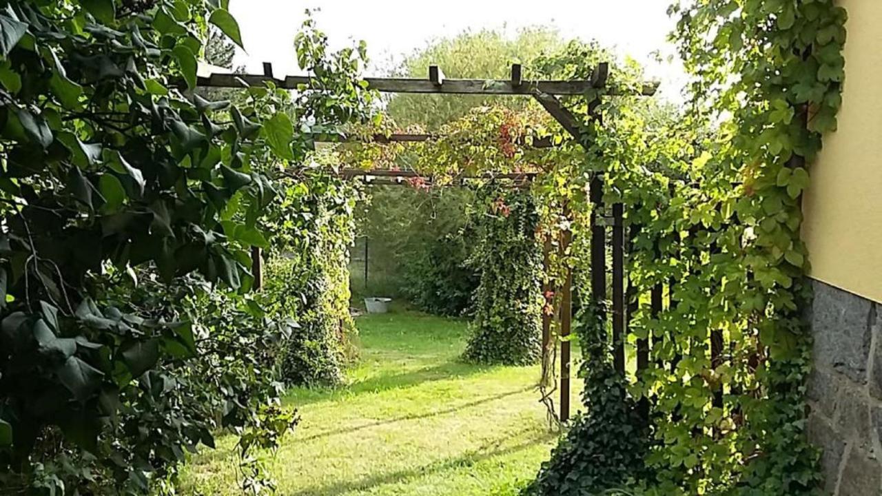 Genesungsort Landhaus Dammert Oppach Экстерьер фото